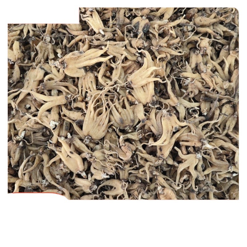 Xizang Linzhi Palm Ginseng, Sun-Dried Ginseng, Various Cold-Backed Ginseng