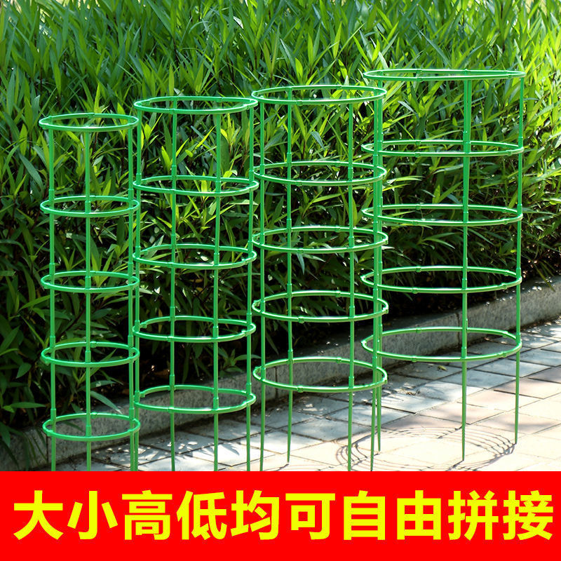 New Bracket Bracket Rod Lotus Grafting Crab Claw Orchid Round Flower Stand Bracket Crab Claw Lotus Leaf Protection Vine Flower Stand