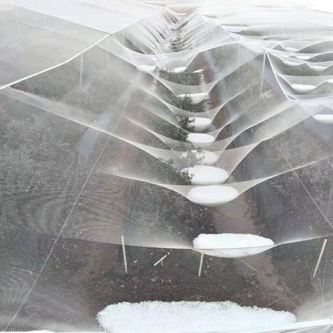 Anti-Hail Net, Orchard Anti-Insect and Anti-Bird Net, Hail Net, Small Eye Net, Orchard Fruit Tree Anti-Falling Leaf Anti-Hail Net