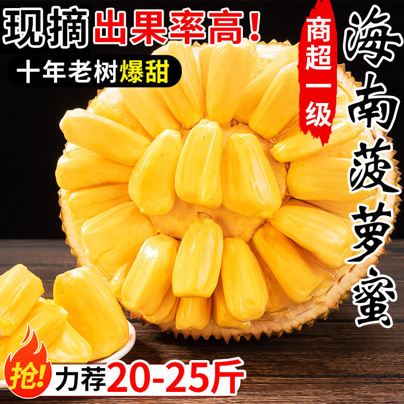 Hainan specialty tree jackfruit fresh fruit wood jackfruit season whole box 1.00 kg-20.00 kg whole postage postage