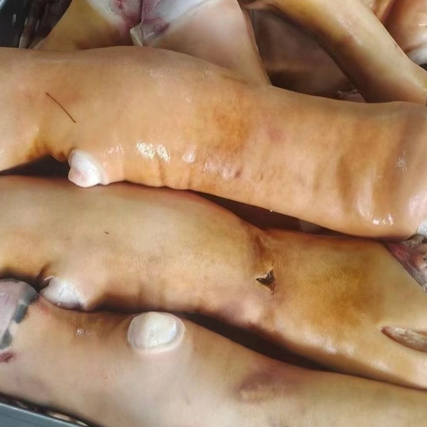 Fresh Cow Hooves, Cut into Pieces, Main Tendon of Cow Hooves, Whole Roasted Cow Hooves, Freshly Cut Cow Feet, Free-Range Cattle Farm Hooves