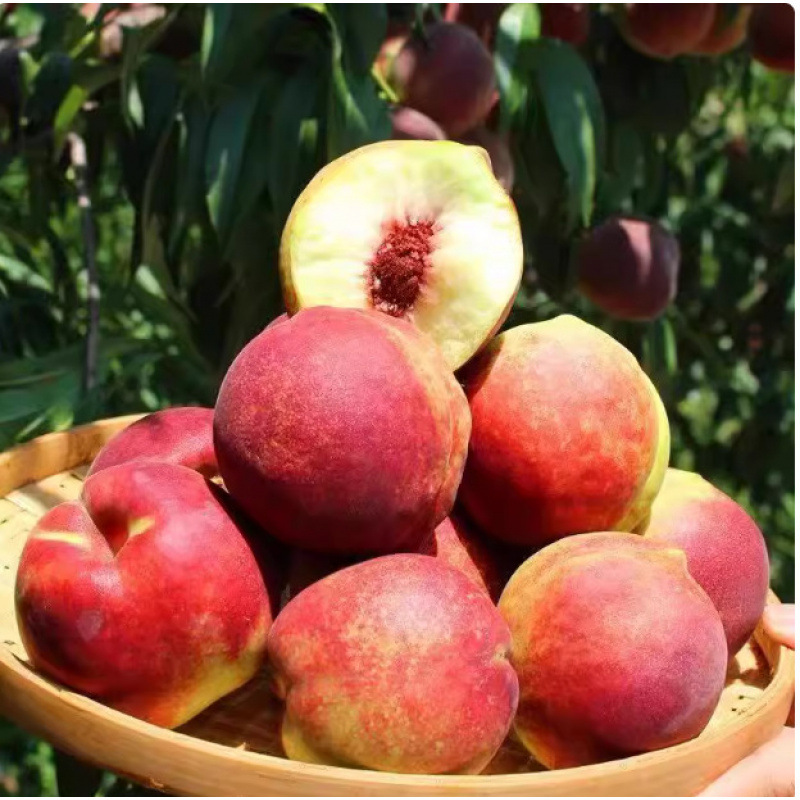 Медовый персик Шаньдун Цинчжоу, хрустящий персик, свежий персик, волосатый персик, сладкий персик, зеленый персик, хрустящий сладкий персик для беременных