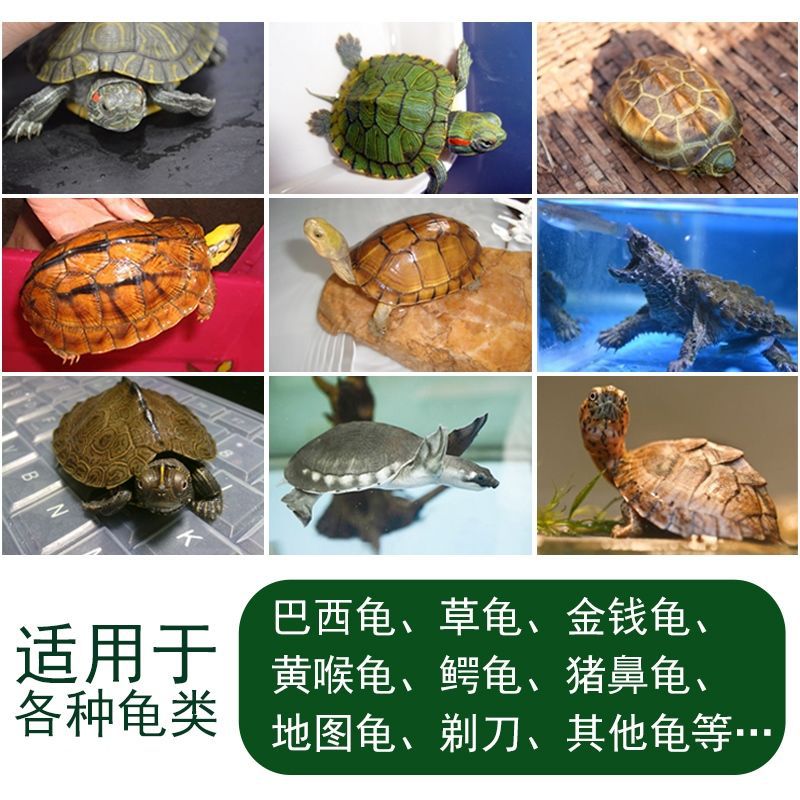 Inch gold turtle food Inch gold turtle feed grass turtle food Brazilian turtle general food turtle food calcium supplement dried shrimp turtle food