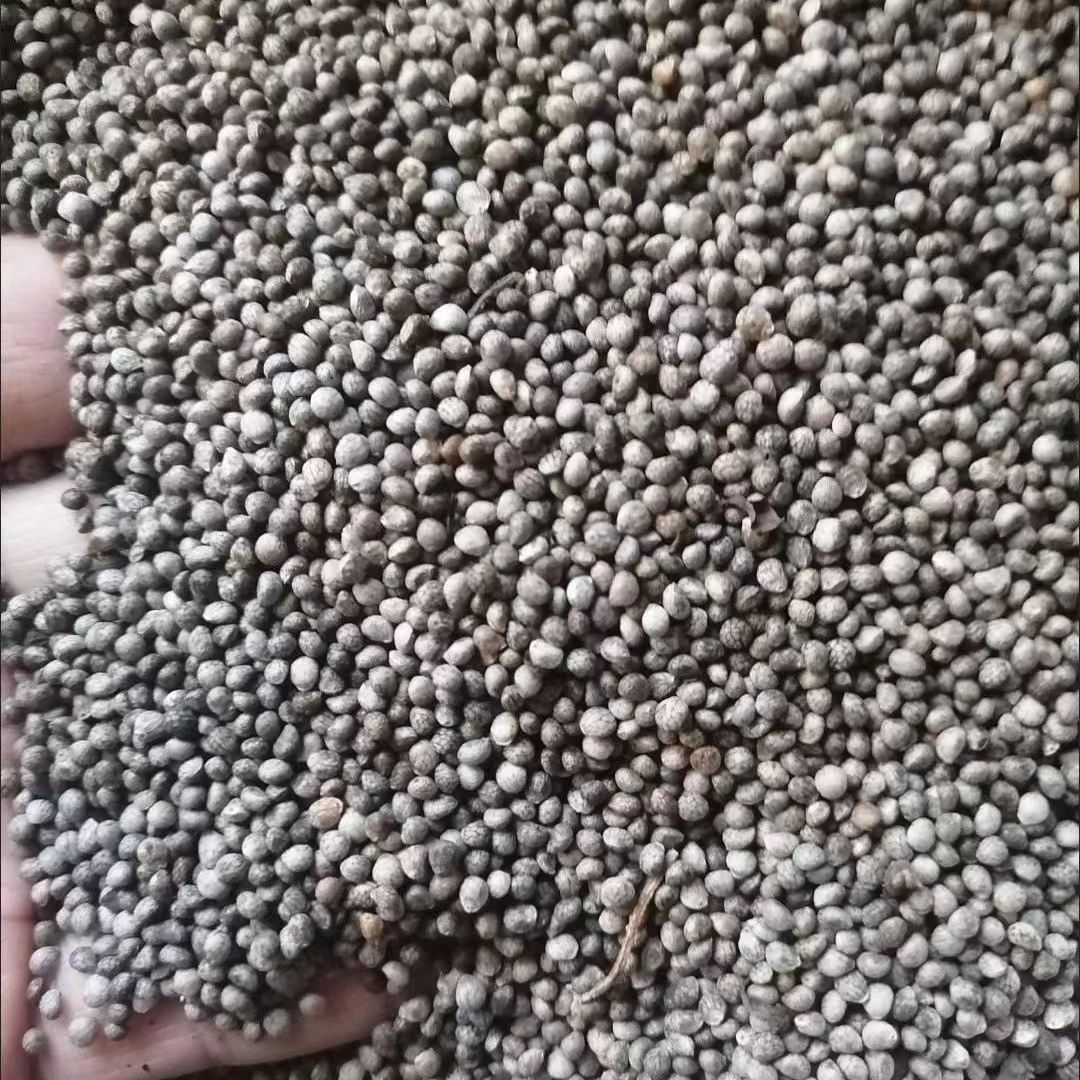 Семена периллы серого цвета, начинка для лунных пирожков, оптовая продажа семян периллы