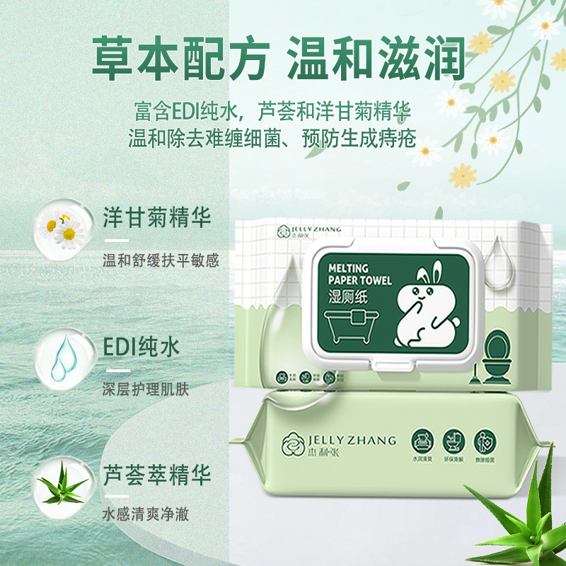 Wet Toilet Paper Household 80 Pieces of Private Cleaning and Care Degradable Toilet Flush Butt Wipe Bacteriostatic Cleaning Toilet Wet Tissue Paper