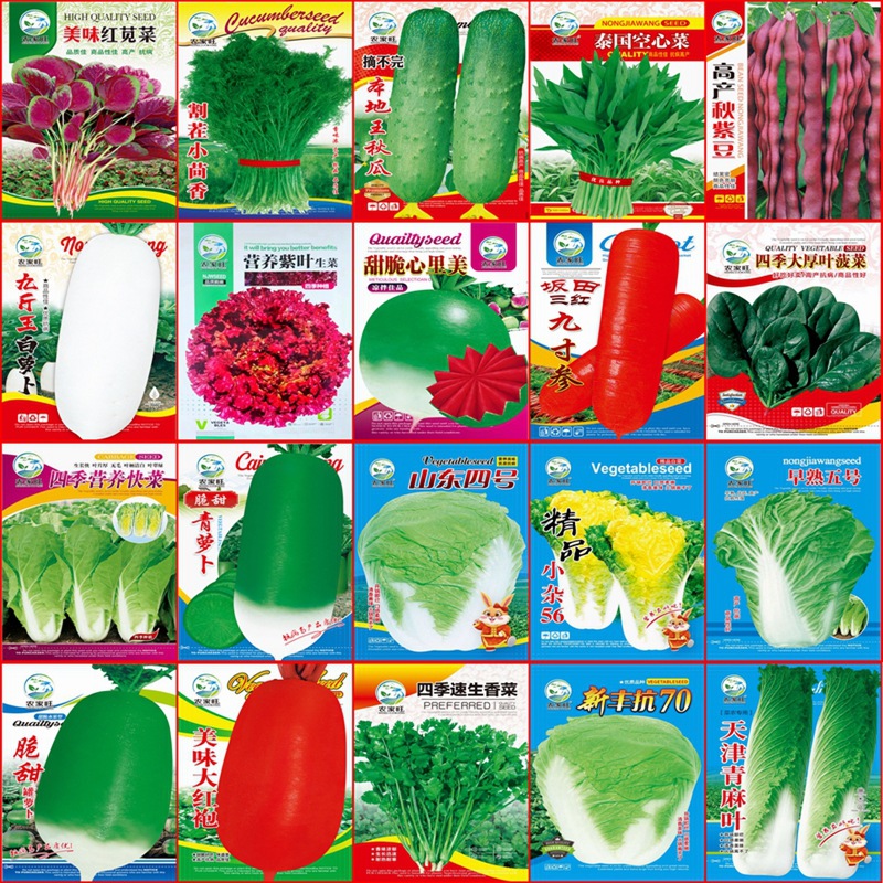 Autumn and Winter Various Vegetable Seeds, Chinese Cabbage Seeds, Seedlings with High Germination Rate, New Varieties of Rapeseed Wholesale Companies
