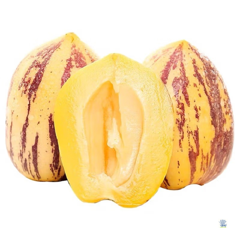 Gansu Minqin Desert Tree-Ripe Ginseng Fruit 4.5kg Seasonal Fresh Fruit Yellow Flesh Large Fruit Wholesale for Pregnant Women