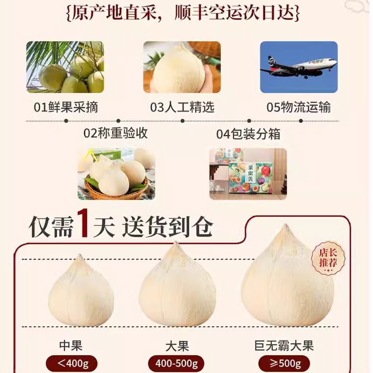 Thai Milk Coconut King Coconut Meat Fresh Milk Coconut 6 Fruits Whole Box Seasonal Pregnant Women 10 Freshly Picked Coconut Green Coconut Treasures