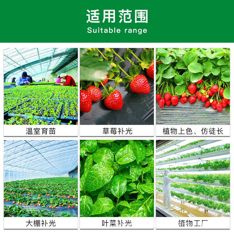 Plant Growth Lamp Led Lamp Strawberry Fill Light Full Spectrum Seedling Temperature Heating Lamp Vegetable Greenhouse Greenhouse Lamp Beads