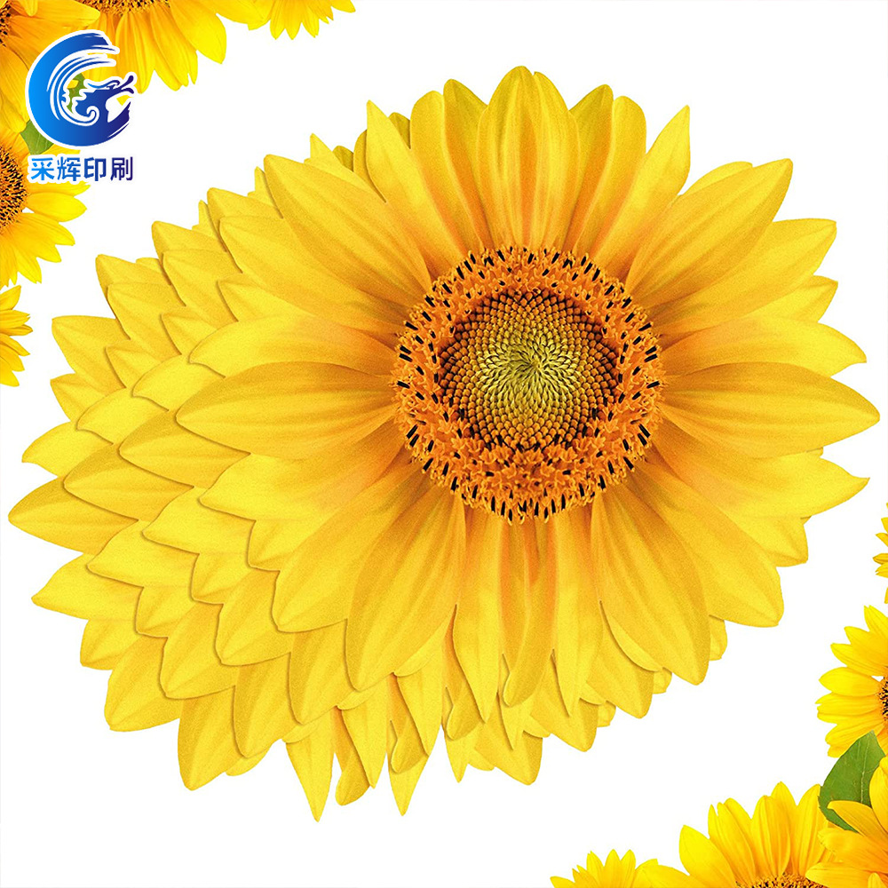 Disposable Mat Paper Household Cross-border Amazon Western Mat Paper Sunflower Rose Table Mat Dining Table Mat