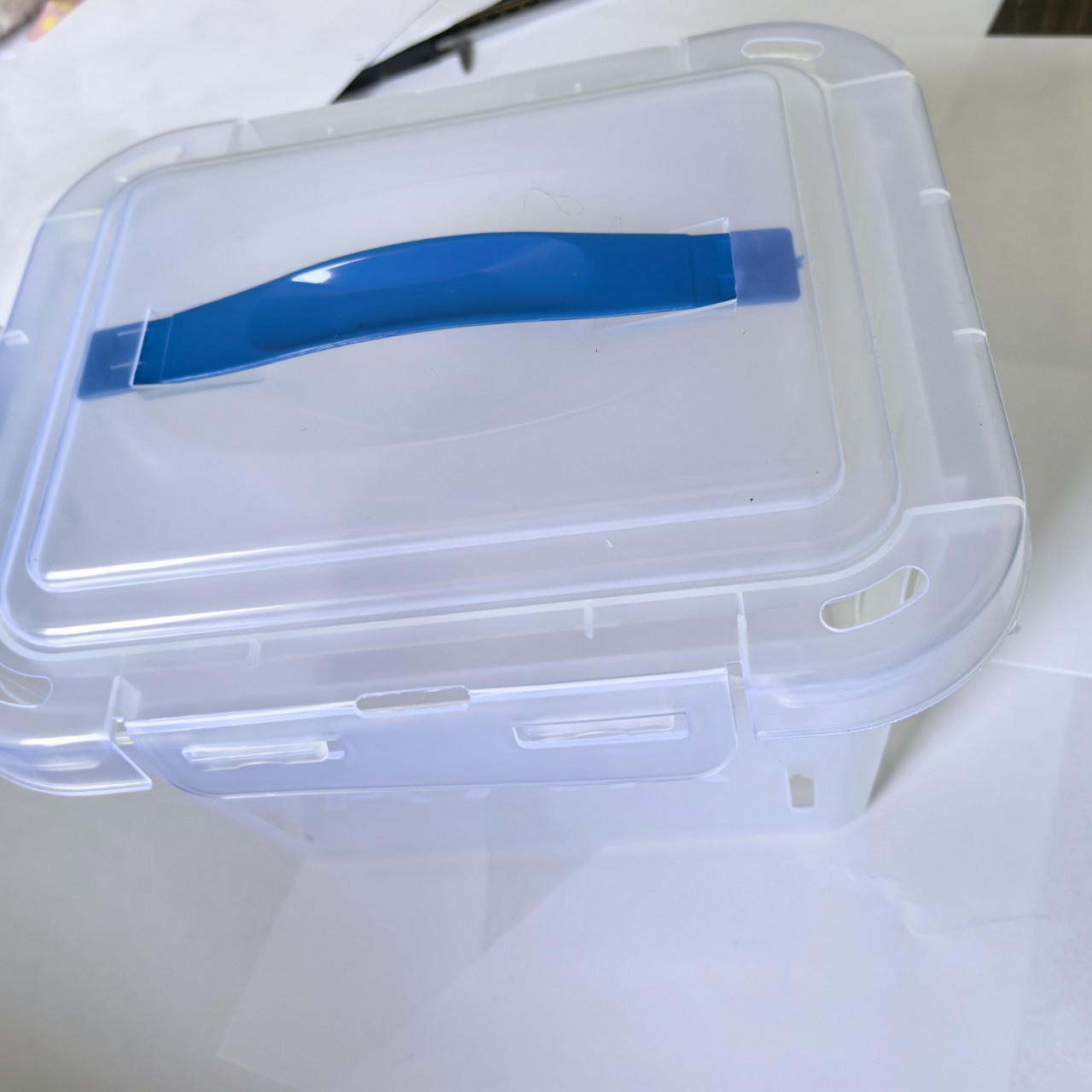 # Factory Direct Sale 2.5kg Aviation Basket Bayberry Basket Strawberry Basket Portable Plastic Basket Fruit Basket Grape Basket Picking