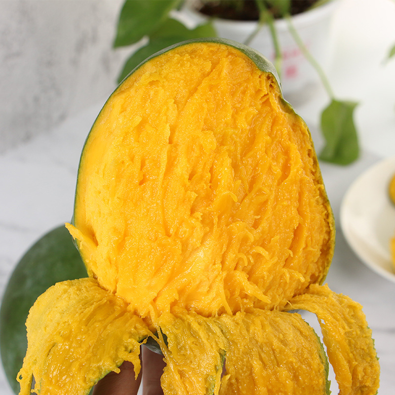 Sichuan Kate Mango Directly Shipped from the Place of Origin Mango Free Shipping Seasonal Fresh Fruit Mango Dropshipping