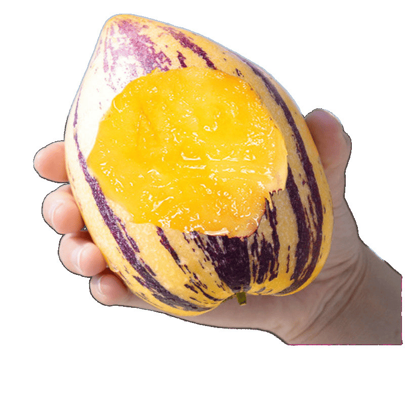 Gansu Minqin Ginseng Fruit Extra Large Fruit 5kg Yellow Flesh Ginseng Fruit Long Fruit Round Fruit Fresh Fruit Wholesale Price