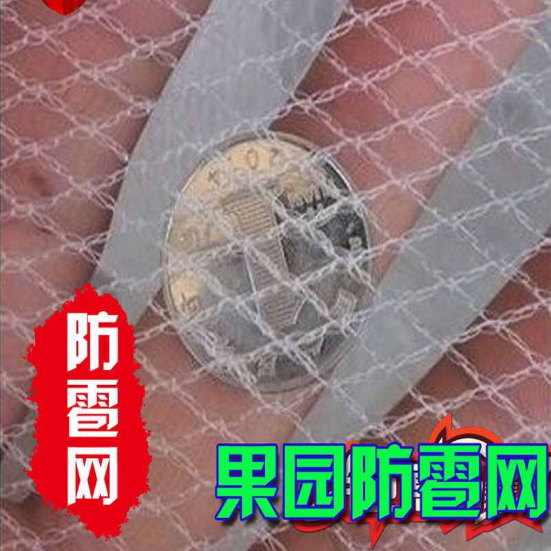 Fruit tree anti-hail net Orchard vegetable garden anti-hail net grape Cherry anti-bird net polyethylene anti-Dragonfly falling object fence