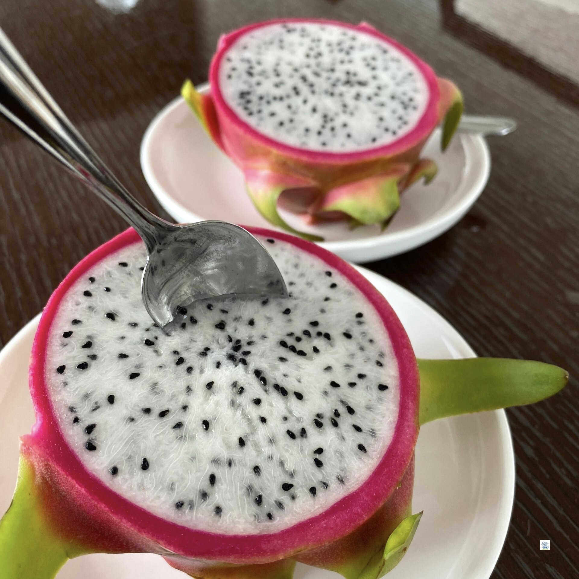 White Heart Dragon Fruit, Fresh Imported from Vietnam, Selected Natural Large Tropical Fruits, Sweet, Juicy, Crispy and Refreshing