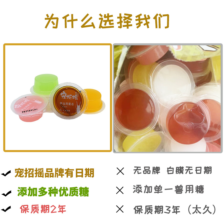 Beetle jelly Naruto insect jelly table feed hair elephant turtle pocket worm adult worm brown sugar spade beetle food