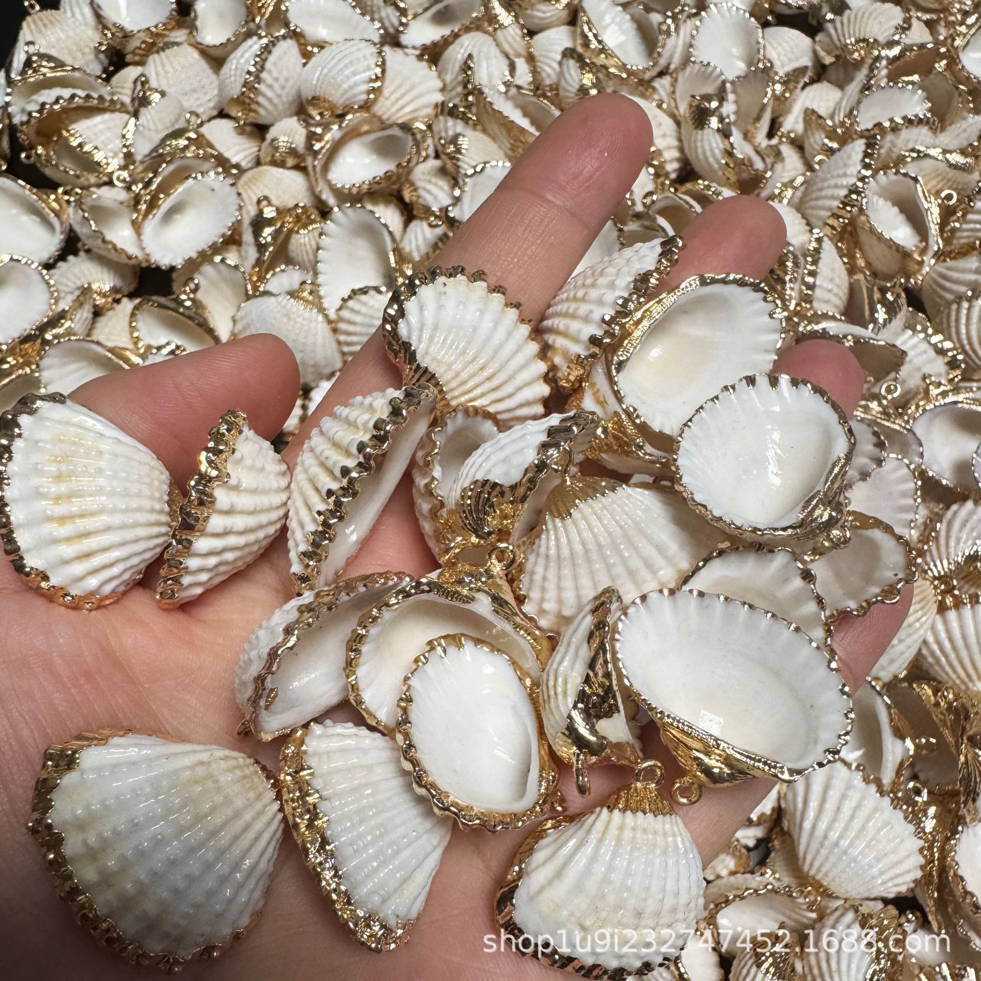 Aibeilai Electroplated Phnom Penh Conch Shell Mixed Bag Phnom Penh Conch Shell Pendant Necklace Wholesale