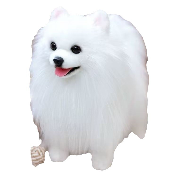 Purebred Pomeranian Puppies for Sale, Small Dogs That Will Not Grow Up, Teacup Puppies, Pet Dogs, Toy Dogs