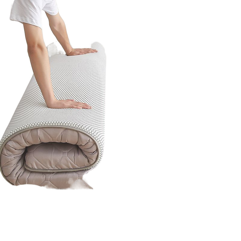Mattress Cushion Student Dormitory Single Cushion Special for Rental Room Bedroom Bedroom Folding Tatami