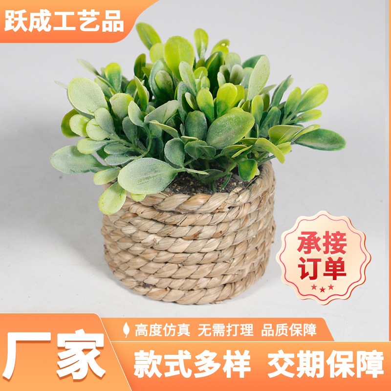 Small potted plant Amazon explosion simulation eucalyptus green plant decoration home plant simulation green plant eucalyptus potted plant