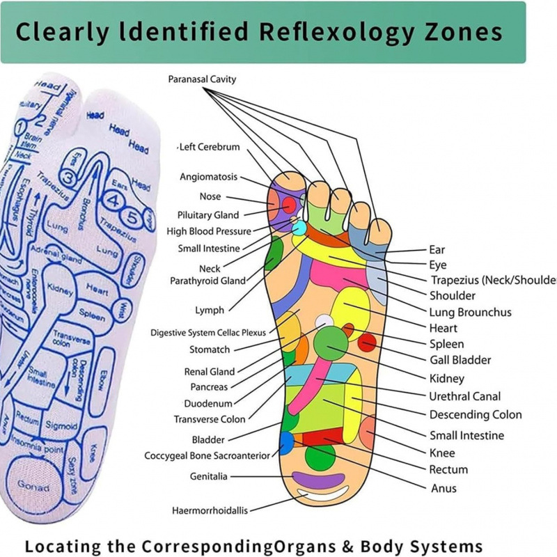 Amazon Simple Foot Massage Socks Foot Massage Socks English Acupoints Send Parents to Relatives