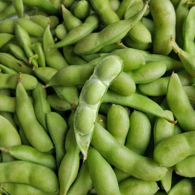 [Directly Shipped from the Place of Origin] Fresh Edamame in Shells, Raw Green Beans, Seasonal Vegetables, Raw Beans, Pods, Edamame, Fresh Soybeans