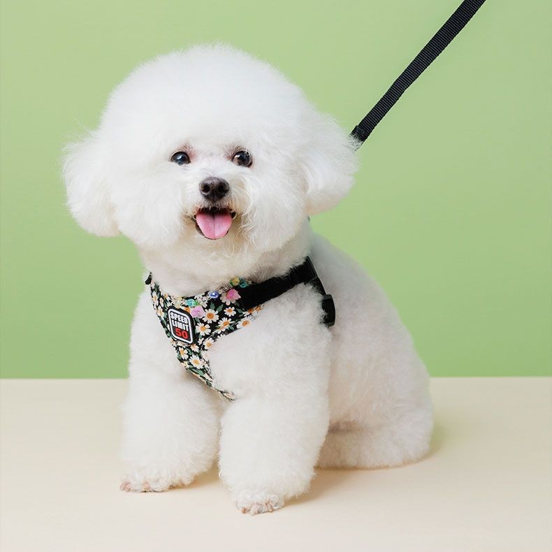 Pet products breathable dog chest strap dog walking printed dog leash small and medium-sized dog new wholesale pet leash
