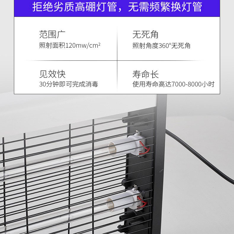 Cross-Border Indoor Germicidal Lamp Ozone Disinfection Lamp Household 40W Blue Light Kindergarten Wall-Mounted Ultraviolet Disinfection Lamp