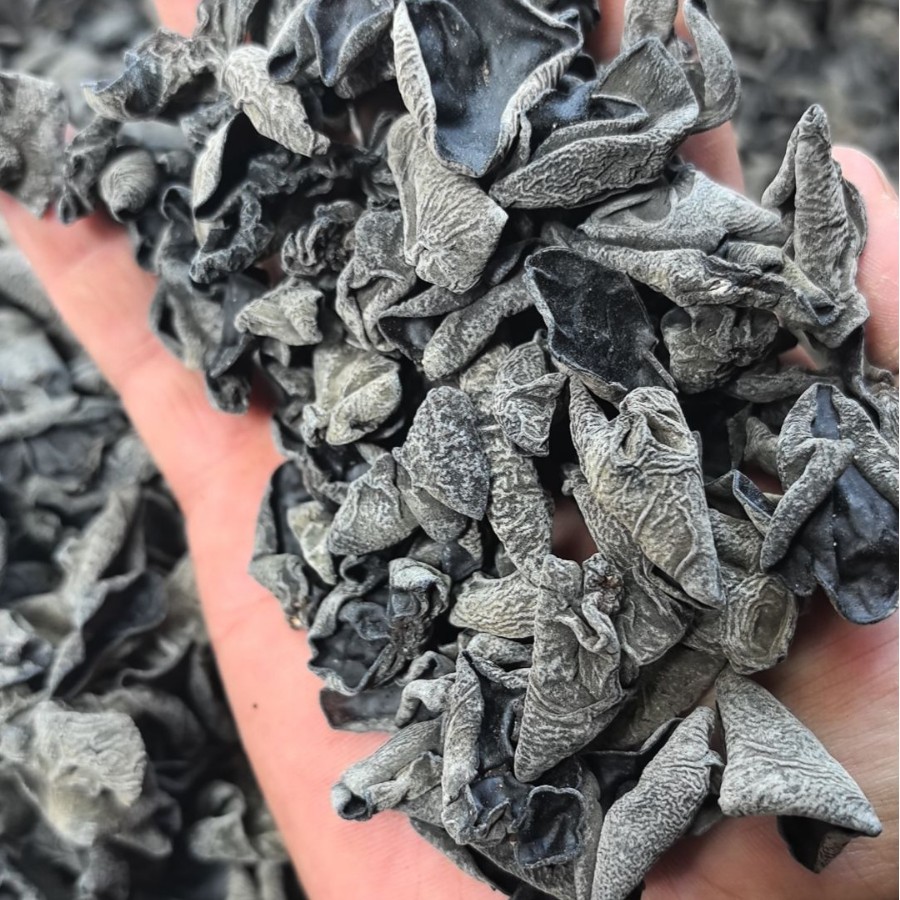 Сухие грибы из черного гриба с выставки на улице Рунцзян, оптовая продажа диких грибов