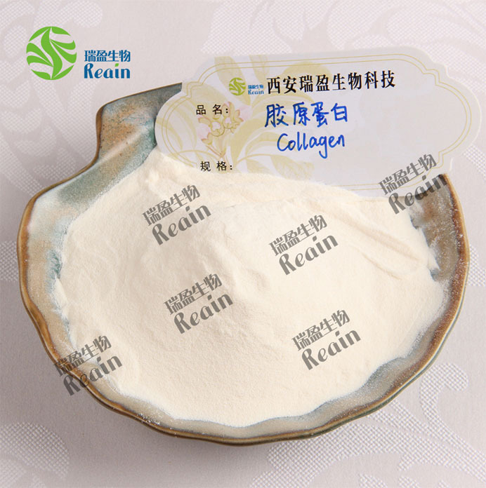 Bovine Collagen in Stock Wholesale Bovine Bone Extract in Stock Bovine Protein Raw Material Powder