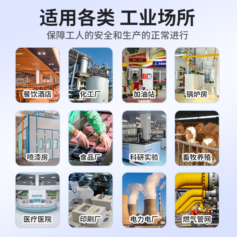 Combustible Gas Detection Alarm Oxygen Hydrogen Leak Detection Hydrogen Sulfide Alcohol Paint Concentration Detector