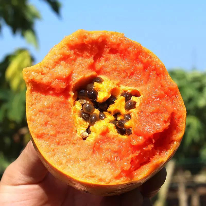Guangxi Rock Sugar Red Heart Papaya Whole Box 5kg Fresh Seasonal Tropical Fruit Old Tree Boutique Large Milk Papaya