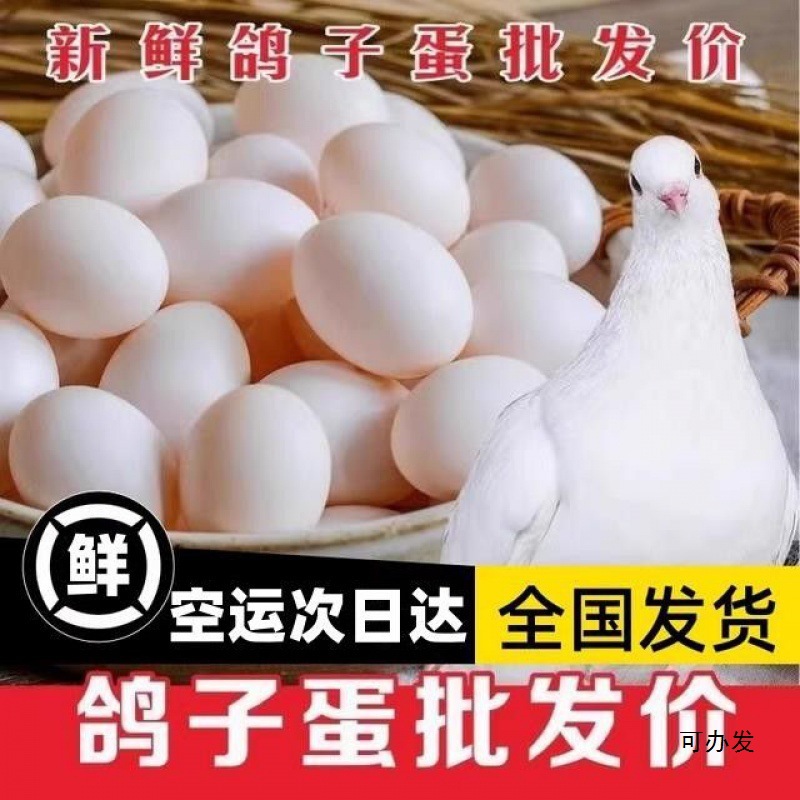 Свежие яйца голубей с ферм свободного выпаса, 30 штук, подходят в качестве дополнительной пищи для беременных и детей, смешанное кормление, белые яйца голубей