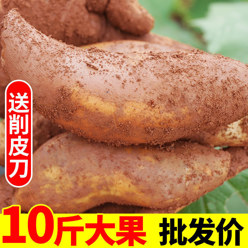 Yunnan Red Heart Tianshan Snow Lotus Root 0.5-5kg Fresh Fruit Seasonal Wholesale Whole Box Wholesale Free Shipping