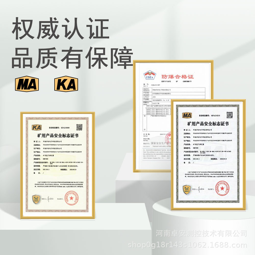 Mine Gas Detector Nitrogen Dioxide Gas Alarm Cedh20 Detector No2 Explosion-Proof Certification Coal Security