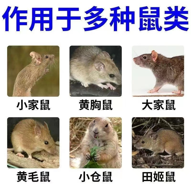 Wholesale Rat Poison Household Rodenticide Vitamin Rodenticide Household Rat Poison 48G/Bag Rat Repellent to Avoid Rats