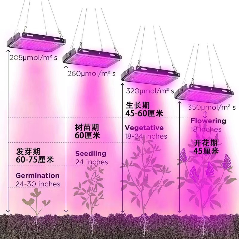Кросс-граничные поставки светодиодных полноспектровых ламп для роста растений для рассады и ламп для заполнения цветов