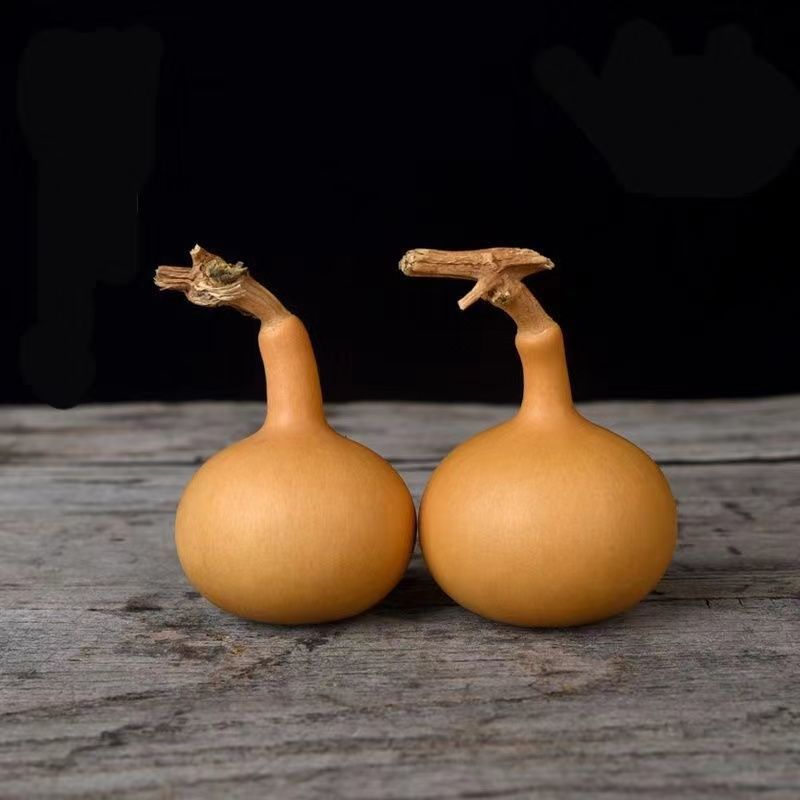 Unique Handle Small Gourd Toy for Handling, Irregular Handle Garlic Head, Unique Handle Single-Belly Gourd Wholesale