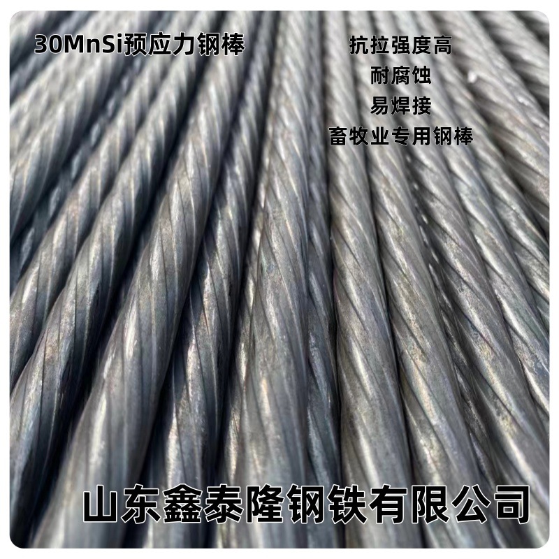 30Mnsi Pre-Stressed Steel Bar High Strength Corrosion Resistance 12.6Pc Steel Bar 10.7 Special Steel for Animal Husbandry