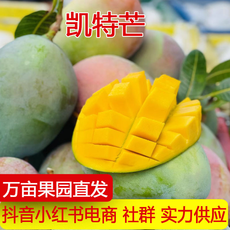 Аутентичное манго Кейт, свежий сезонный фрукт, крупное манго, оптовая продажа