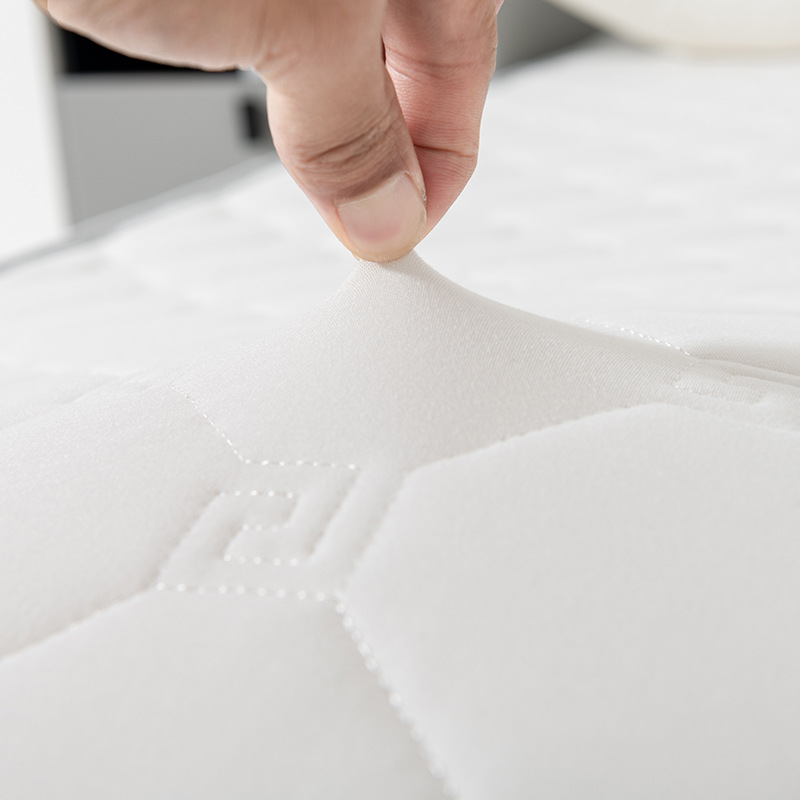 New Thickened Latex Mattress Dormitory Soft Cushion Foldable Storage Student Mattress Rental Home Mattress Wholesale