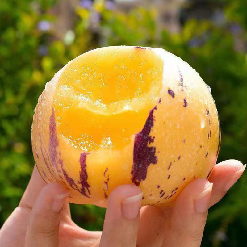 Yunnan Shilin Ginseng Fruit 5kg Large Fresh Ginseng Fruits Colorful Yellow Flesh Round Fruits Wholesale