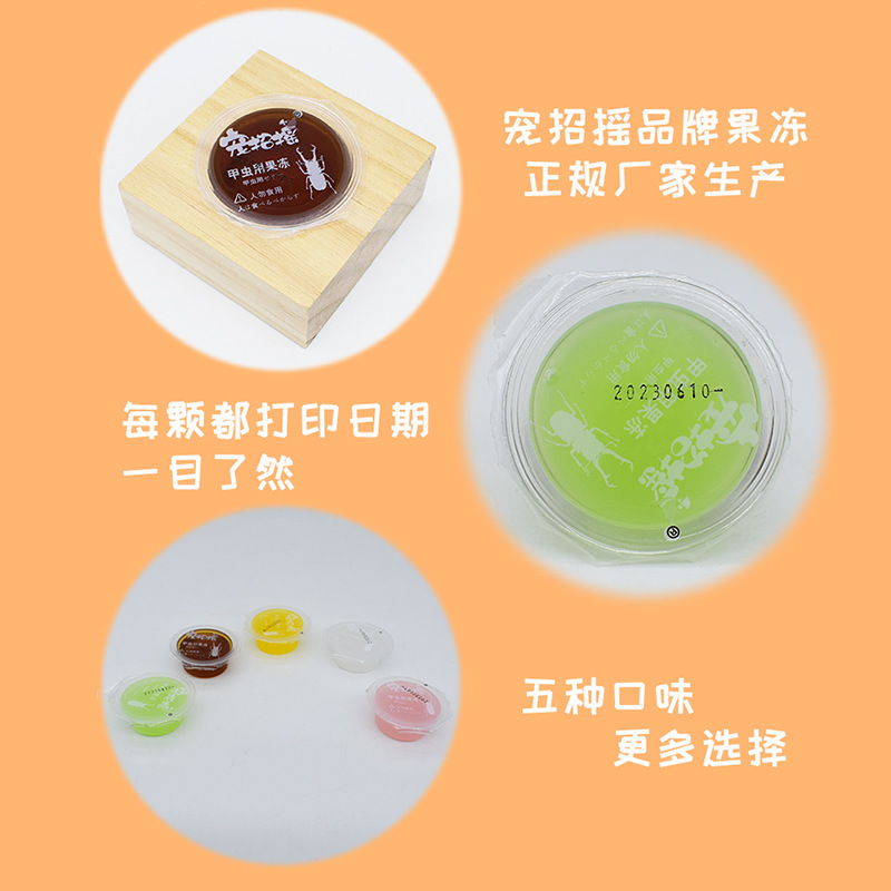 Beetle jelly Naruto insect jelly table feed hair elephant turtle pocket worm adult worm brown sugar spade beetle food