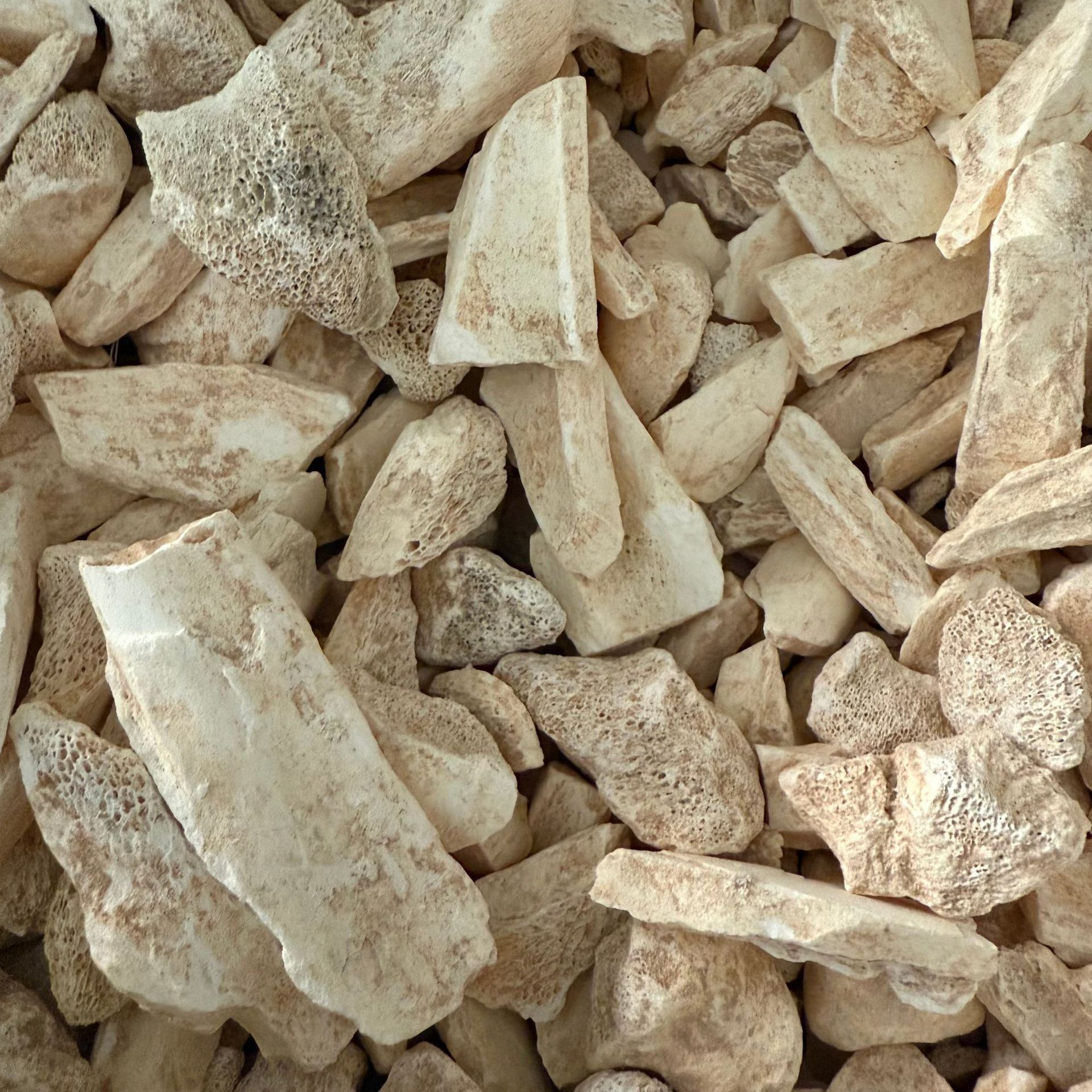 Dragon Bone, Washed Dragon Bone, Dragon Bone Herbal Medicine, Real Product Photography, Various Specifications