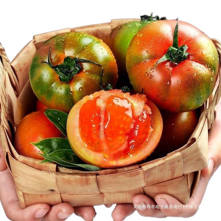 Dandong Iron-Skinned Persimmons, Fresh Alkaline Tomatoes, Dandong Strawberries, Naturally Ripe and Raw Fruits, Tomatoes Grown by Themselves