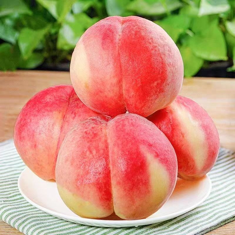 Peach Whole Box 5kg Fresh Seasonal Ripe Peaches for Pregnant Women, Crispy Sweet Peaches, Free Shipping for 5