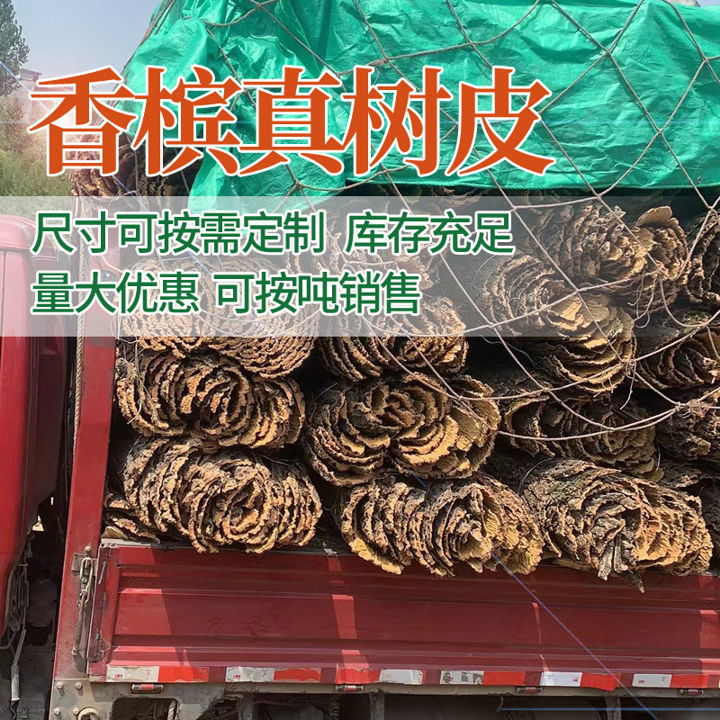 Champagne Real Bark Decoration Cork Spider Palace Lizard Escape Pet Landscape Climbing Pet Climbing