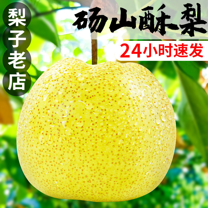 Хорошо продающиеся хрустящие груши Дангшань из Аньхоя, 5кг, свежие фрукты, сезонная целая коробка, бесплатная доставка, ароматные хрустящие груши