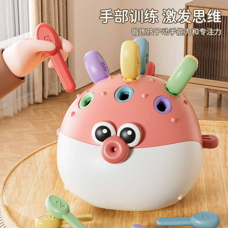 Cross-Border Early Education Concentration Training Baby's Fine Finger Movement Hand-Eye Coordination Matching Hedgehog Nail Insertion Toy