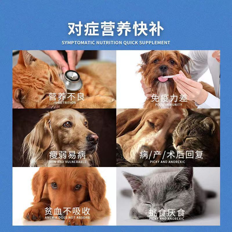 AD rehabilitation dog cat canned cat intestinal urinary postpartum postoperative facial makeup biological prescription cat food dog food canned wet food